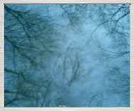 3gp free video: Wavy water mirror shows sky and the trees, 12.3.2007 - 715KB