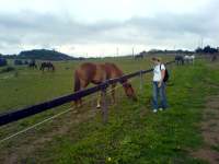 Barbara Zemanová u ohrady s koňmi