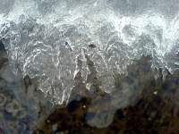 Detail tající ledové krusty na potoku