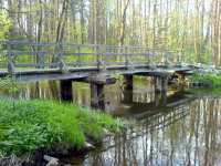 Dřevěný most nedaleko Rozvodí