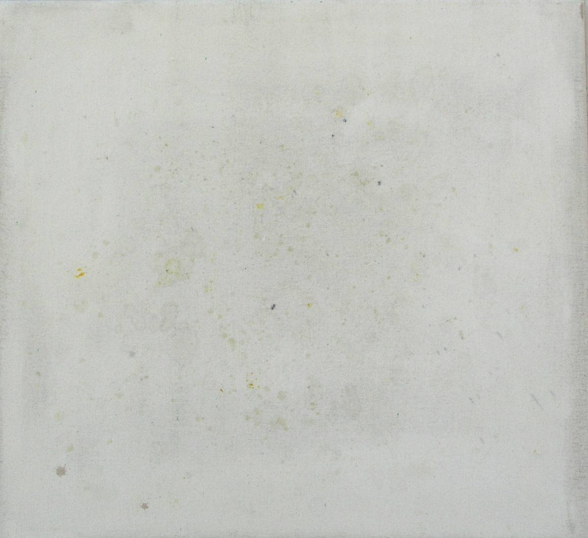 Jan Karpíšek - Diplomová práce: Pomeranče, přírodní pigmenty (silice z pomerančové kůry) na plátně, 2005