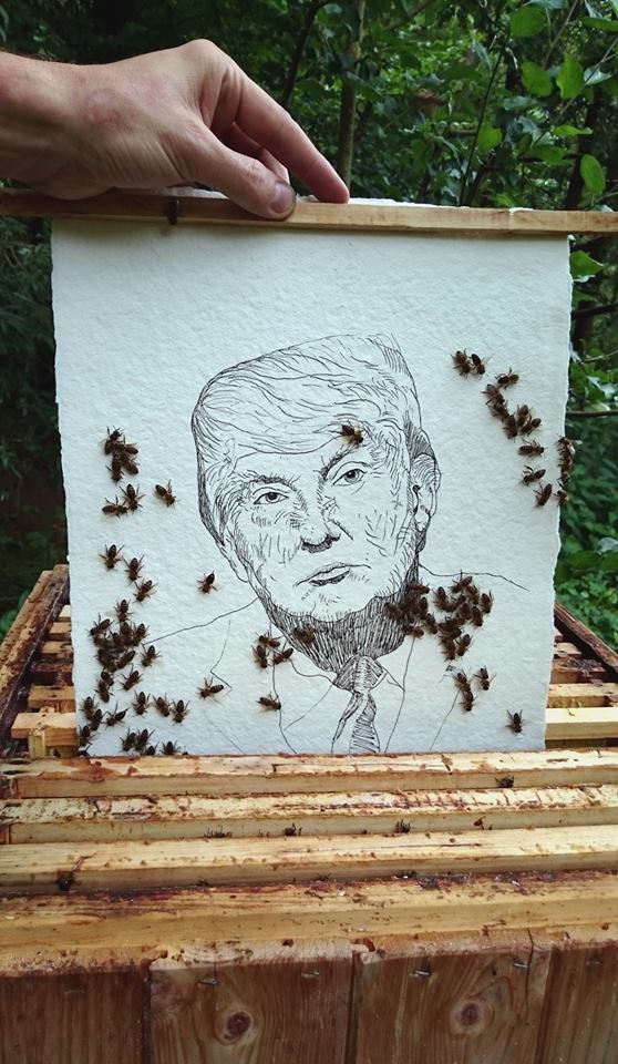 Donald Trump beeing inserted in the beehive by artist Jan Karpisek