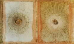 Dvojitá kaluž, přírodní pigmenty z Rudice na plátně (dvojitá vyschlá kaluž), 90x150cm, 2009, soukromá sbírka, Česká republika