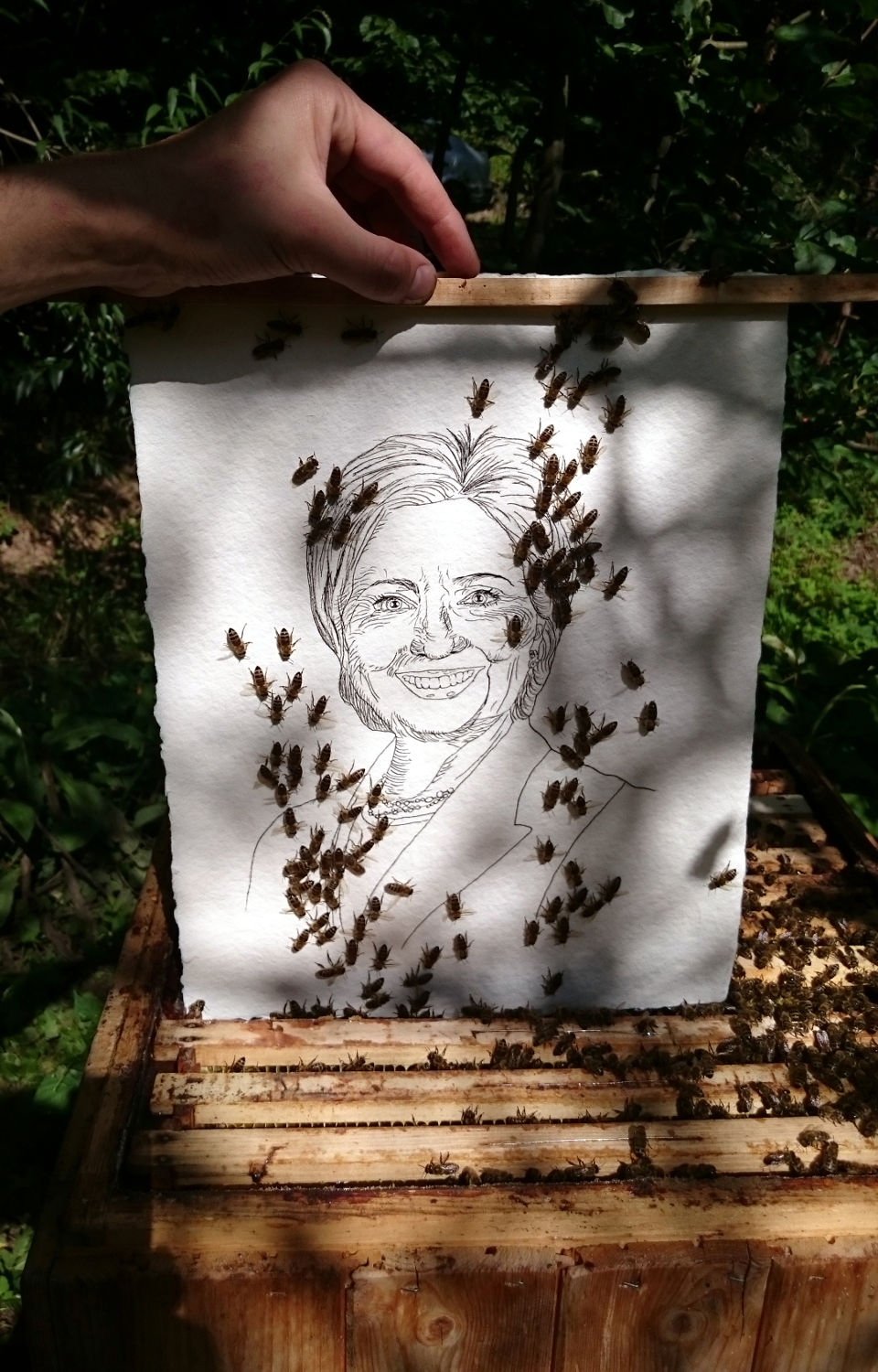 Hillary Clinton beeing inserted in the beehive