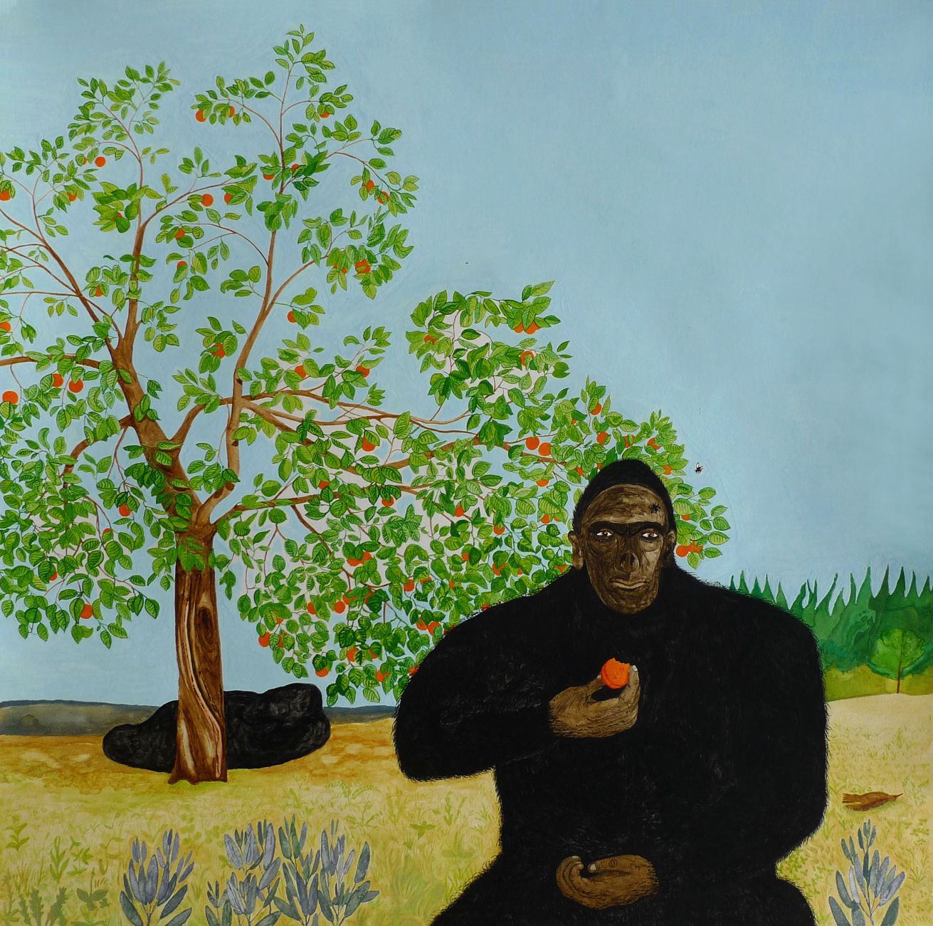 Jan Karpíšek: The Apricot, watercolor on paper, 50x50 cm, 2011, private collection, Czech Republic