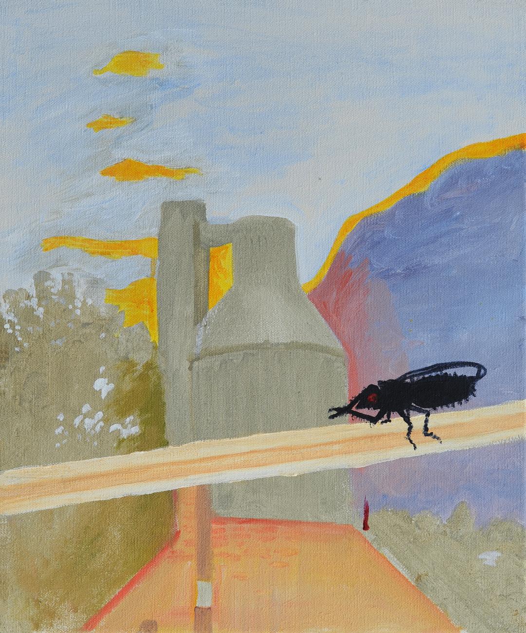Jan Karpíšek: The Problem Of A Fly, acryl on canvas, 60x50 cm, 2011