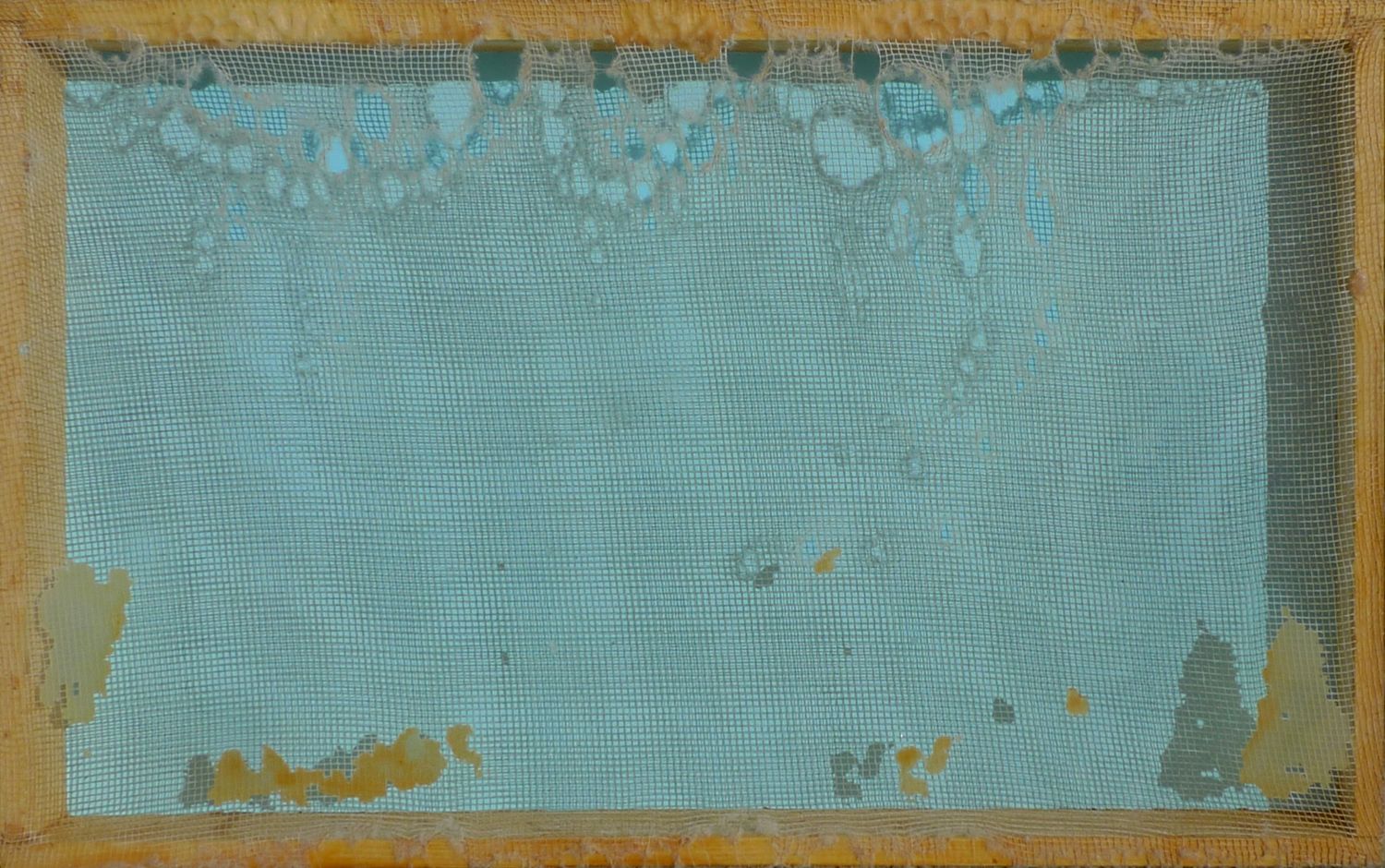 Jan Karpíšek: Představy a sny, síťka vykousaná včelami podložená akrylem na plátně, 24x39 cm, 2014