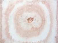 Zimní mandala, přírodní pigmenty na plátně, 64x84 cm, 2009