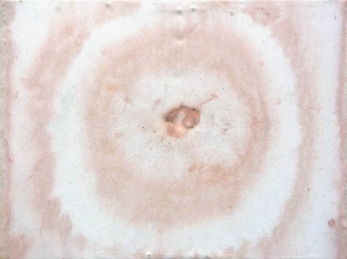 Jan Karpíšek: Zimní mandala, přírodní pigmenty na plátně, 64x84 cm, 2009