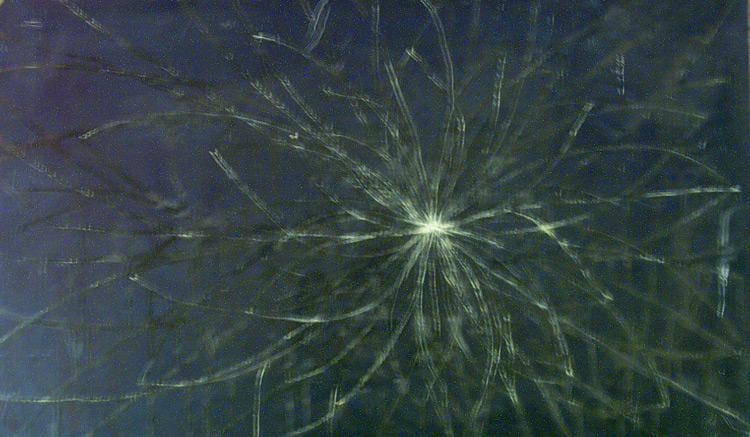 Jan Karpíšek: Květ, olej na sololitu, 48x80 cm, 2000