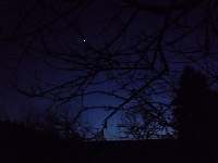 Retrográdní Venuše, Měsíc a větve, Soběšice, březen 2009