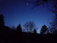 Siluety stromů a retrográdní Venuše na večerním nebi, Soběšice, březen 2009