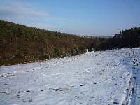 Sníh, Soběšice, březen 2009