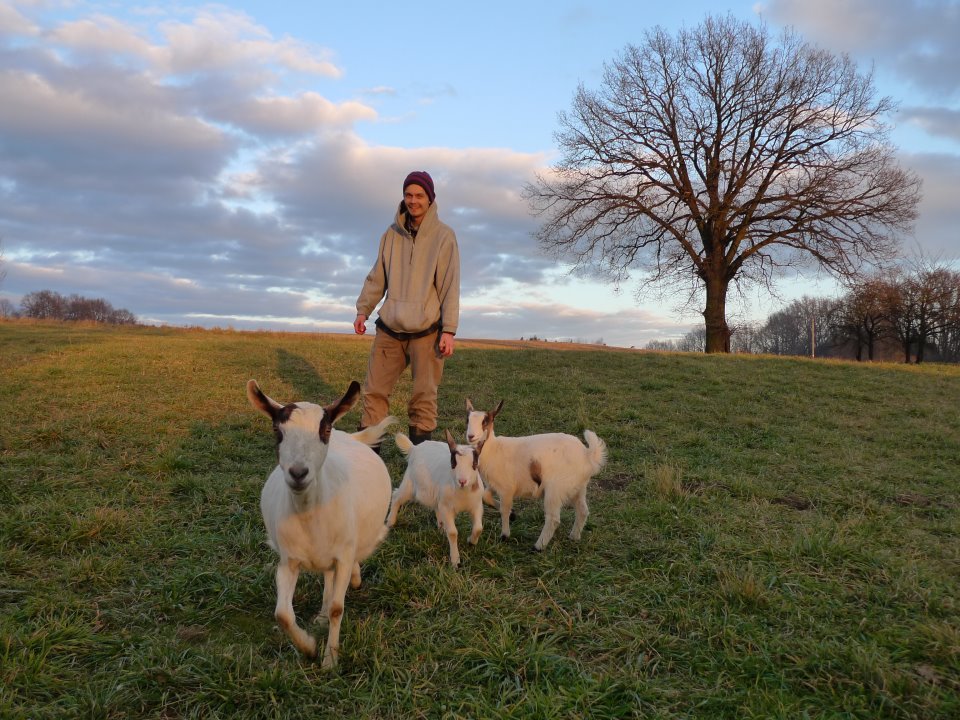 Karpíšek a kozy, podzim 2011