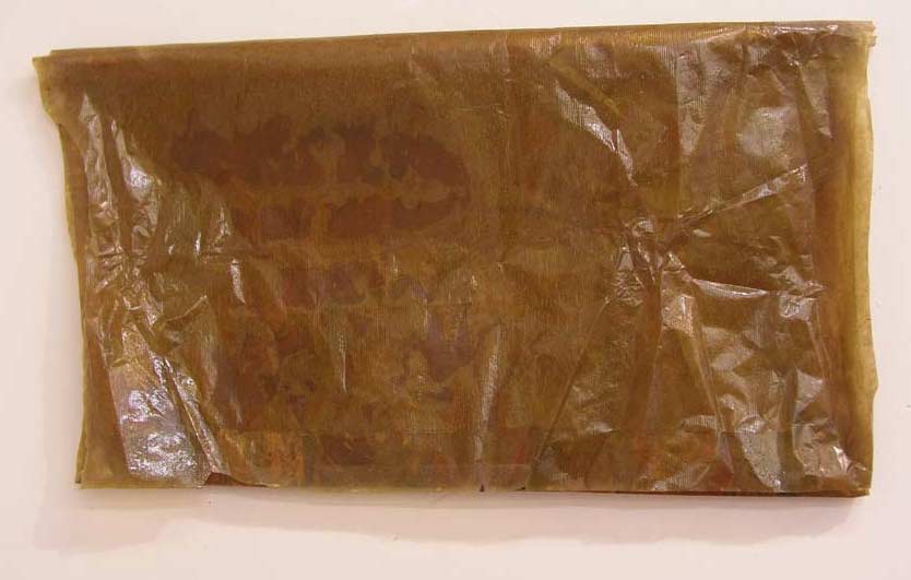 Jan Karpíšek: Mars č.1, olej a damarová pryskyřice na papíře, 2004