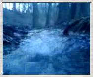 3gp free video: Incredible view of stream of water in a wood creek in Brno, 12.3.2007 - 712KB