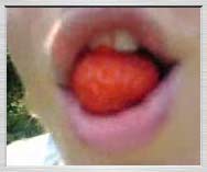 Free 3gp video: Berry eats a strawberry - 132KB