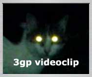 3gp video zdarma: Noční setkání s kočkou před panelákem, kde bydlí babička - 454KB