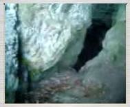 3gp video zdarma: V ústí jeskyně Jáchymka, 23.11.2006 - 624,5KB