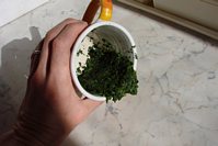 Gyokuro Tea - pressed out tea mass