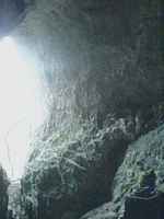 Pohled na stěnu směrem ven z nitra jeskyně Jáchymka. Václav Cílek: Býčí skála, 23.11.2006, exkurze FaVU