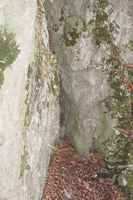 Úzká skalní průrva - údajně jeden ze vchodů do jeskyně Kostelík. Václav Cílek: Býčí skála, 23.11.2006, exkurze FaVU