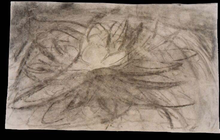 Karpíšek: The Bloom, charcoal on paper, 29x47 cm, 2000