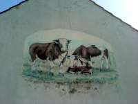 Lidová malba na fasádě domu, krávy - Šošůvka